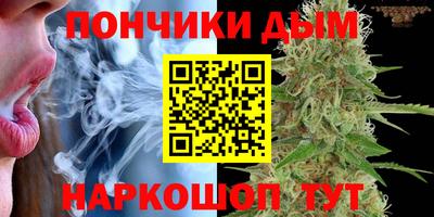 ALPHA-PVP Партизанск