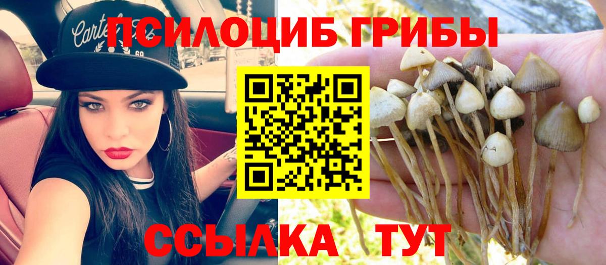 Галлюциногенные грибы Psilocybine cubensis  Вход с VPN  Семилуки 